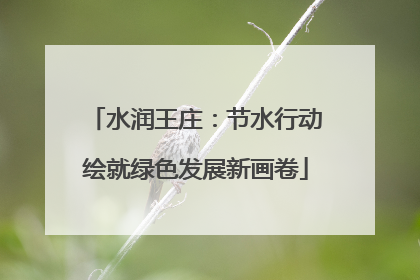 水润王庄：节水行动绘就绿色发展新画卷