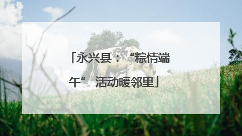 永兴县：“粽情端午” 活动暖邻里