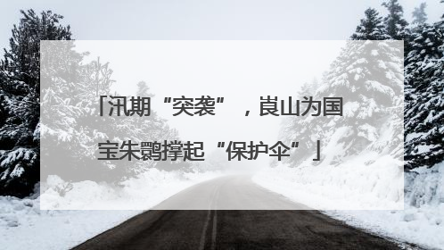 汛期“突袭”，崀山为国宝朱鹮撑起“保护伞”