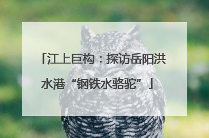 江上巨构：探访岳阳洪水港“钢铁水骆驼”