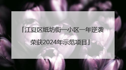江夏区纸坊街一小区一年逆袭 荣获2024年示范项目