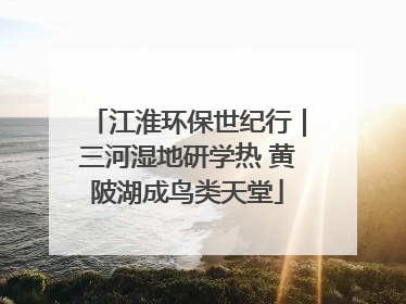 江淮环保世纪行｜三河湿地研学热 黄陂湖成鸟类天堂
