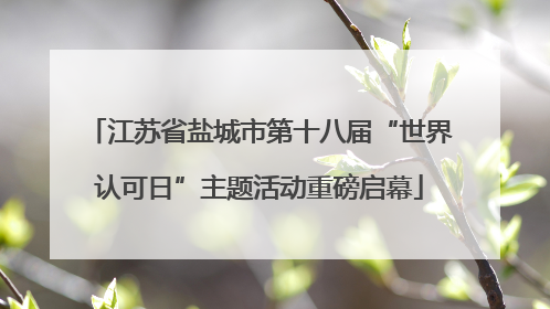 江苏省盐城市第十八届“世界认可日”主题活动重磅启幕
