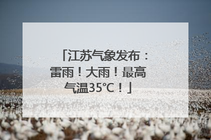 江苏气象发布：雷雨！大雨！最高气温35℃！