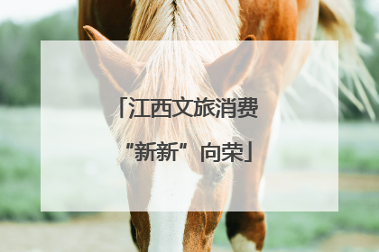江西文旅消费“新新”向荣