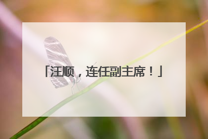 汪顺，连任副主席！