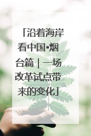 沿着海岸看中国•烟台篇｜一场改革试点带来的变化