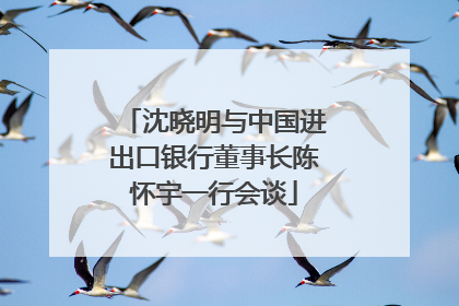 沈晓明与中国进出口银行董事长陈怀宇一行会谈