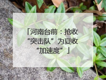 河南台前：抢收“突击队”为夏收“加速度”