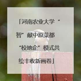 河南农业大学“智”献中原菜都 “校地企”模式共绘丰收新画卷