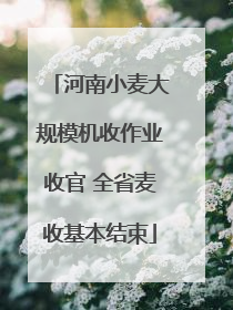 河南小麦大规模机收作业收官 全省麦收基本结束