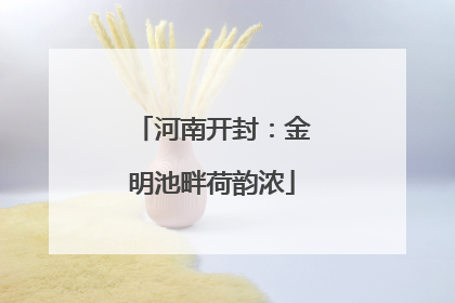 河南开封：金明池畔荷韵浓