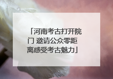 河南考古打开院门 邀请公众零距离感受考古魅力