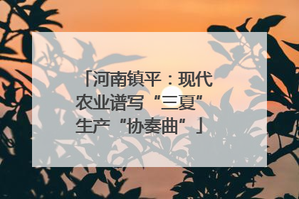 河南镇平：现代农业谱写“三夏”生产“协奏曲”