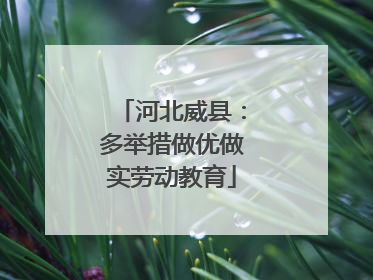 河北威县：多举措做优做实劳动教育