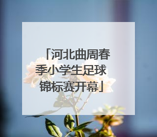 河北曲周春季小学生足球锦标赛开幕