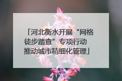 河北衡水开展“网格徒步踏查”专项行动 推动城市精细化管理