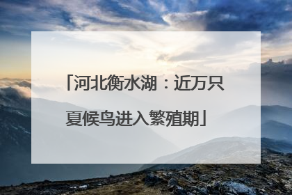 河北衡水湖：近万只夏候鸟进入繁殖期