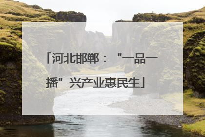 河北邯郸：“一品一播”兴产业惠民生