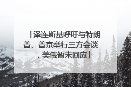 泽连斯基呼吁与特朗普、普京举行三方会谈，美俄暂未回应