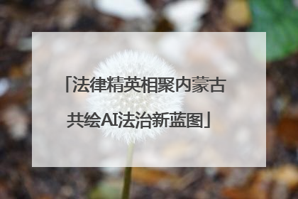 法律精英相聚内蒙古 共绘AI法治新蓝图