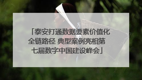 泰安打通数据要素价值化全链路径 典型案例亮相第七届数字中国建设峰会
