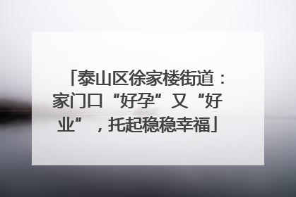 泰山区徐家楼街道：家门口“好孕”又“好业”，托起稳稳幸福