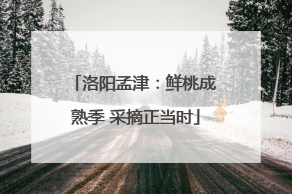 洛阳孟津：鲜桃成熟季 采摘正当时