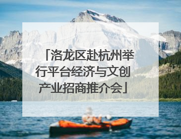 洛龙区赴杭州举行平台经济与文创产业招商推介会