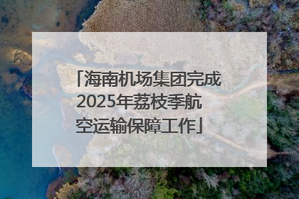 海南机场集团完成2025年荔枝季航空运输保障工作