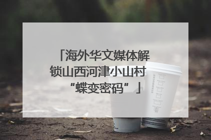 海外华文媒体解锁山西河津小山村“蝶变密码”