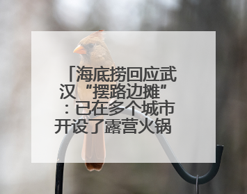 海底捞回应武汉“摆路边摊”：已在多个城市开设了露营火锅、夜宵外摆等户外业态