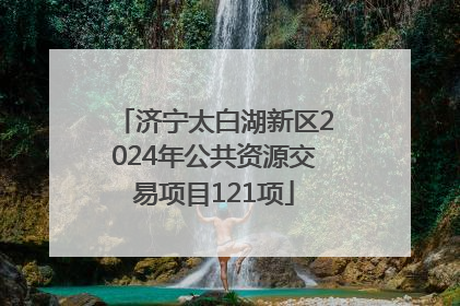 济宁太白湖新区2024年公共资源交易项目121项