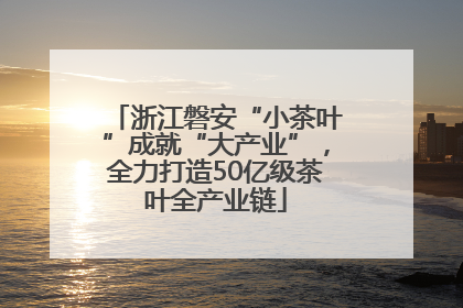 浙江磐安“小茶叶”成就“大产业”，全力打造50亿级茶叶全产业链