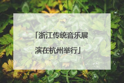 浙江传统音乐展演在杭州举行