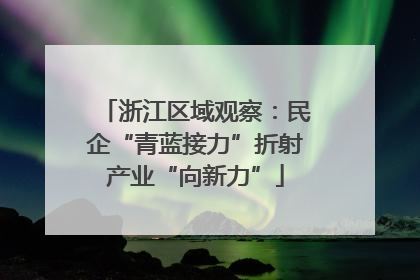 浙江区域观察：民企“青蓝接力”折射产业“向新力”