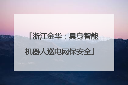 浙江金华：具身智能机器人巡电网保安全