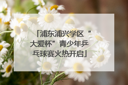 浦东浦兴学区“大爱杯”青少年乒乓球赛火热开启