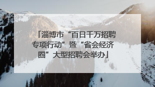 淄博市“百日千万招聘专项行动”暨“省会经济圈”大型招聘会举办