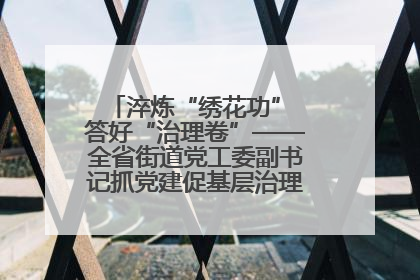 淬炼“绣花功” 答好“治理卷”——全省街道党工委副书记抓党建促基层治理培训示范班侧记