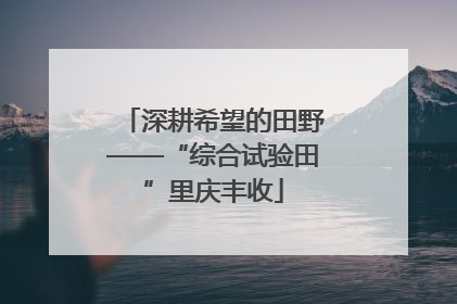 深耕希望的田野——“综合试验田”里庆丰收