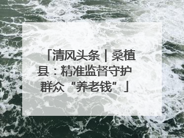 清风头条｜桑植县：精准监督守护群众“养老钱”
