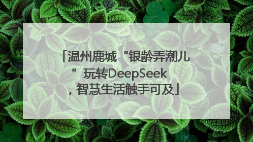 温州鹿城“银龄弄潮儿”玩转DeepSeek，智慧生活触手可及