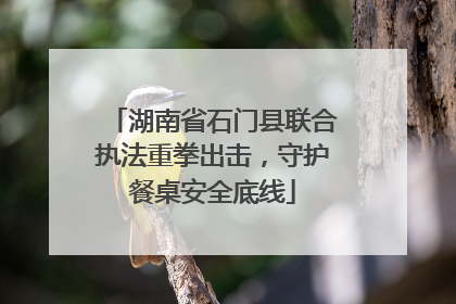 湖南省石门县联合执法重拳出击，守护餐桌安全底线