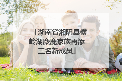 湖南省湘阴县横岭湖麋鹿家族再添三名新成员