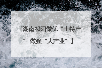 湖南祁阳做优“土特产” 做强“大产业”