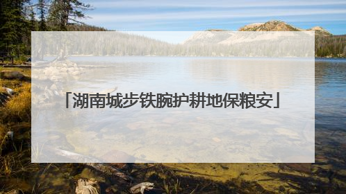 湖南城步铁腕护耕地保粮安