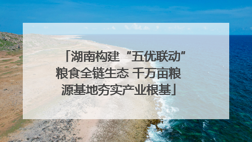 湖南构建“五优联动”粮食全链生态 千万亩粮源基地夯实产业根基