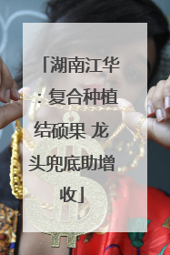湖南江华：复合种植结硕果 龙头兜底助增收
