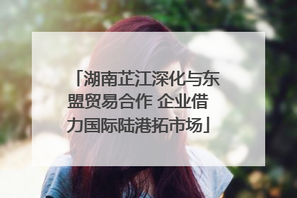 湖南芷江深化与东盟贸易合作 企业借力国际陆港拓市场